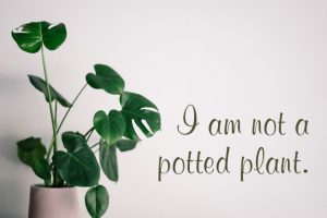 I am not a potted plant. 
